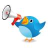 Social Media Twitter